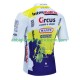 Uomo Maglia Ciclismo Maniche Corte Wanty Circus 2023