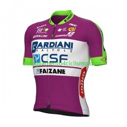 Uomo Maglia Ciclismo Maniche Corte 2022 Bardiani-CSF N001