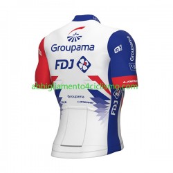 Uomo Maglia Ciclismo Maniche Corte 2022 Groupama-FDJ N001