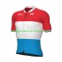 Uomo Maglia Ciclismo Maniche Corte 2022 Groupama-FDJ N003