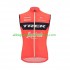 Uomo 2022 Trek-Segafredo Gilet Ciclismo N005