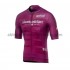 Maglia Ciclismo Maniche Corte 2021 Giro d'Italia M004